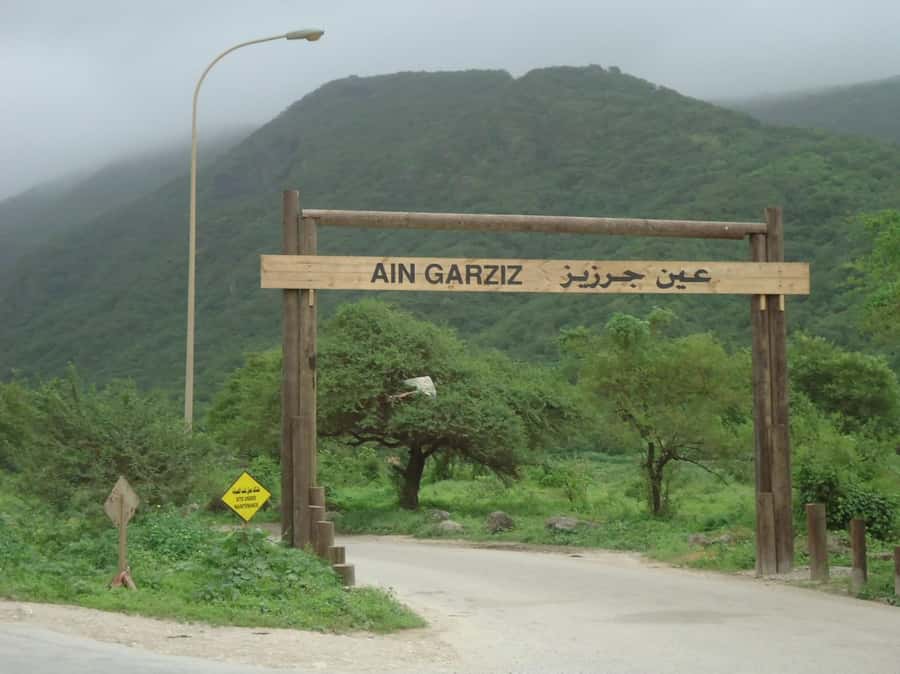 Historical Salalah City Tour with Culture, Food & Shopping - Key details before you book