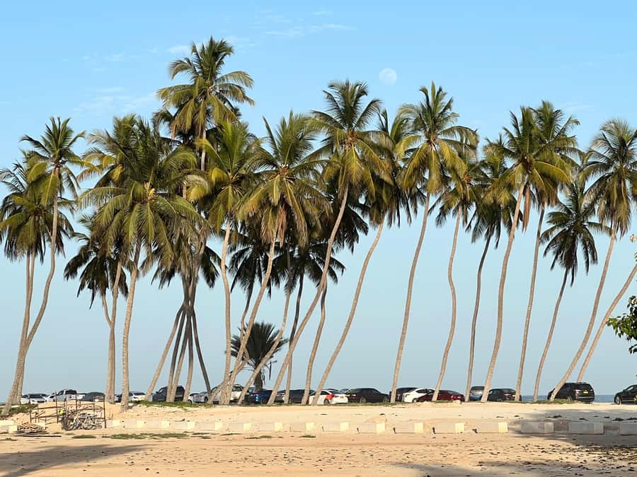Historical Salalah City Tour with Culture, Food & Shopping - Entering Sultan Qaboos Mosque