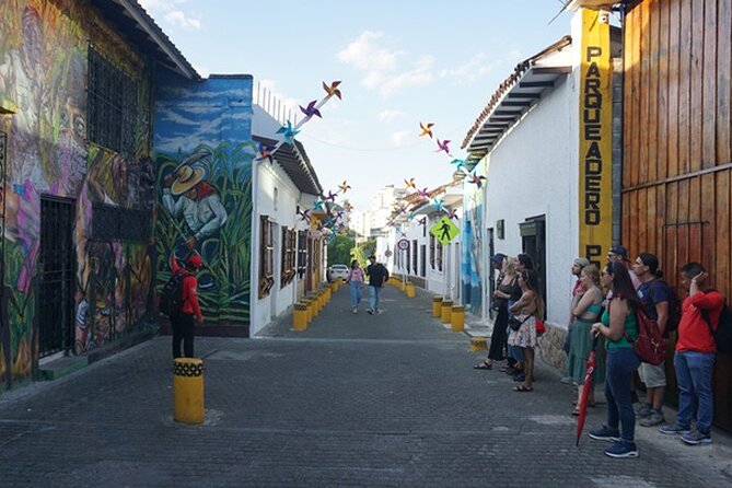 Historical Shared Tour Salsa, Graffiti & Resistance in Cali - Fine Arts, music, and the city’s creative life
