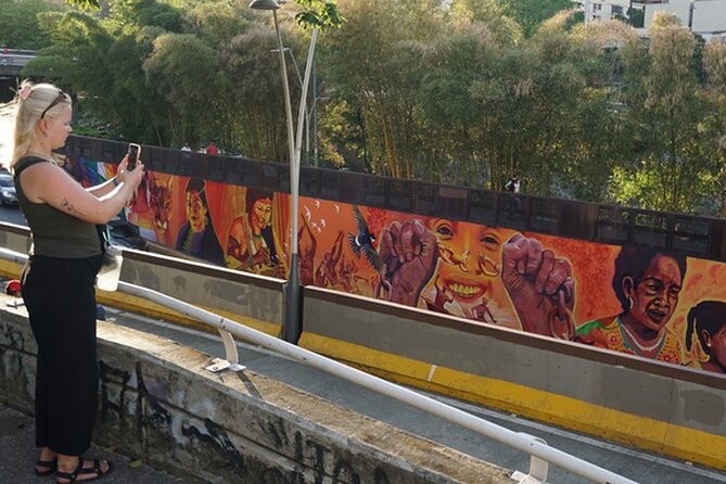 Historical Shared Tour Salsa, Graffiti & Resistance in Cali - Boulevard del Río and a city view