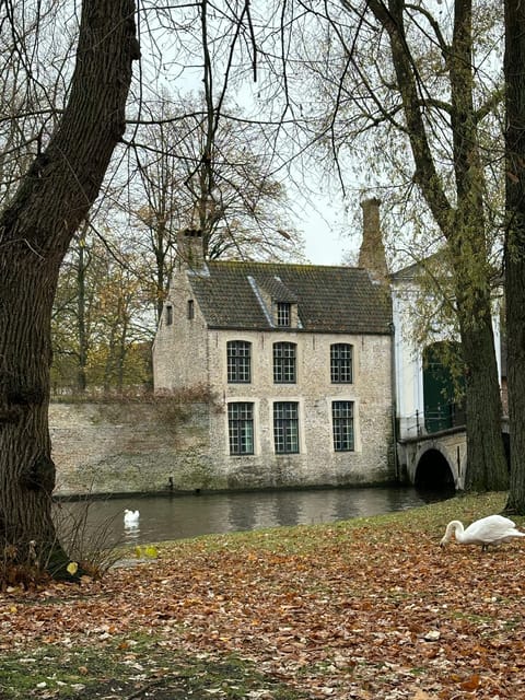 Historical walk in Bruges with local guide. Praline included - The Sukerbuyc praline, a small but welcome extra