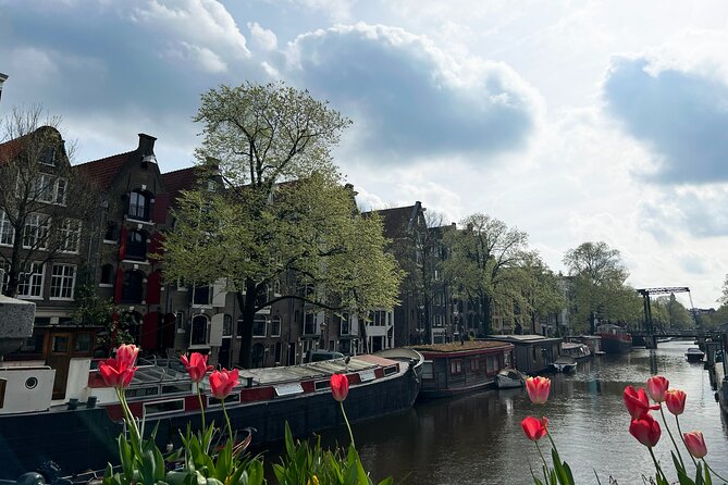 Historical Walking Tour, private with local Dutch guide - Price, timing, and the private-tour value
