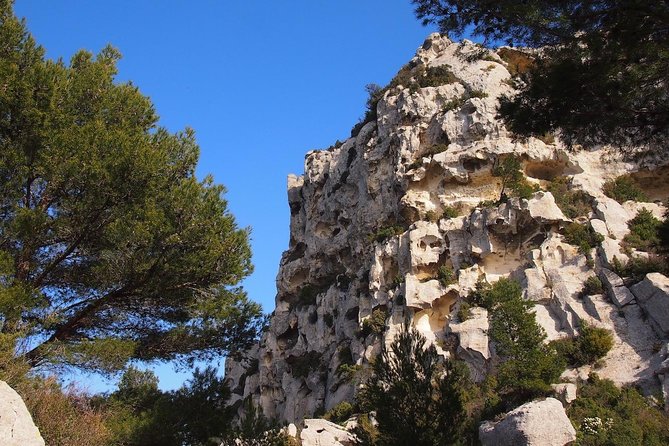 History and Van Gogh in Provence from AIX-EN-PROVENCE - What the guide adds to the day