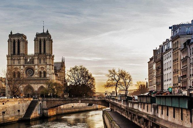 History of Paris City Center w/ Notre Dame Semi-Private 12ppl Max - Notre Dame after the 2019 fire