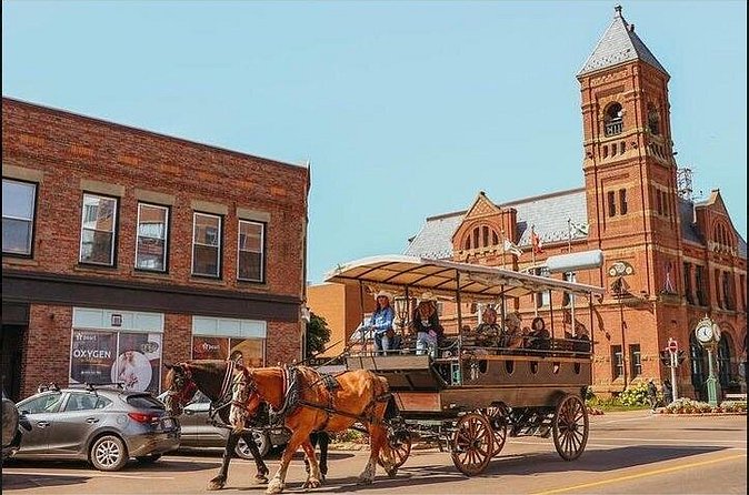 Horse Drawn Historical Guided Tour - St. Dunstan’s Basilica and Gothic Revival design