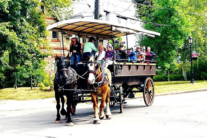 Horse Drawn Historical Guided Tour - Confederation Centre of the Arts and the 1864 meeting