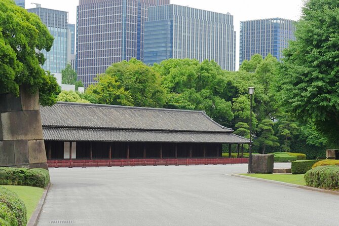 Imperial Palace East Garden and Edo Castle Walking Tour in Tokyo - Why the Imperial Palace East Gardens deserve your morning