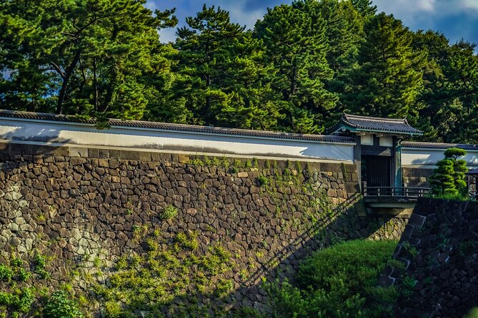 Imperial Palace East Garden and Edo Castle Walking Tour in Tokyo - Pace, terrain, weather, and what to wear
