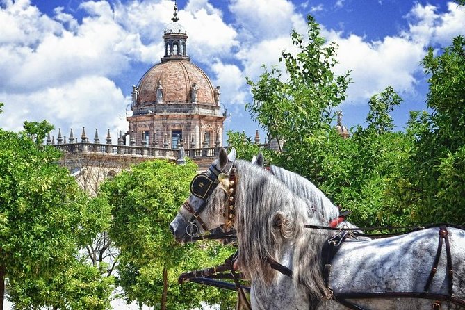 Jerez de la Frontera History and Art Walking Tour - Key points to know before you book