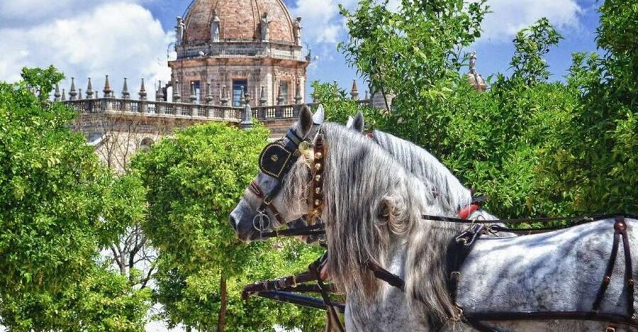 Jerez: Historic Center Guided Tour - Key points to know before you book