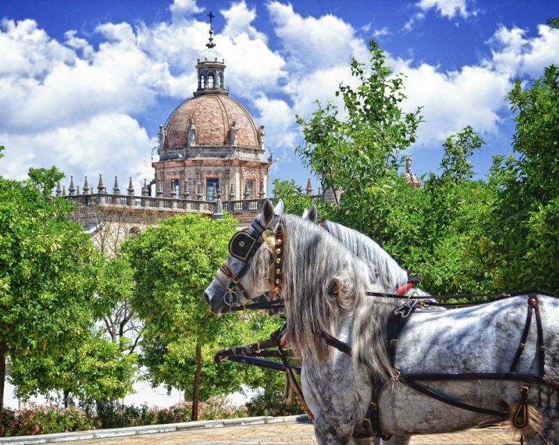 Jerez: Historic Center Guided Tour - Why this Jerez walk is worth your first two hours