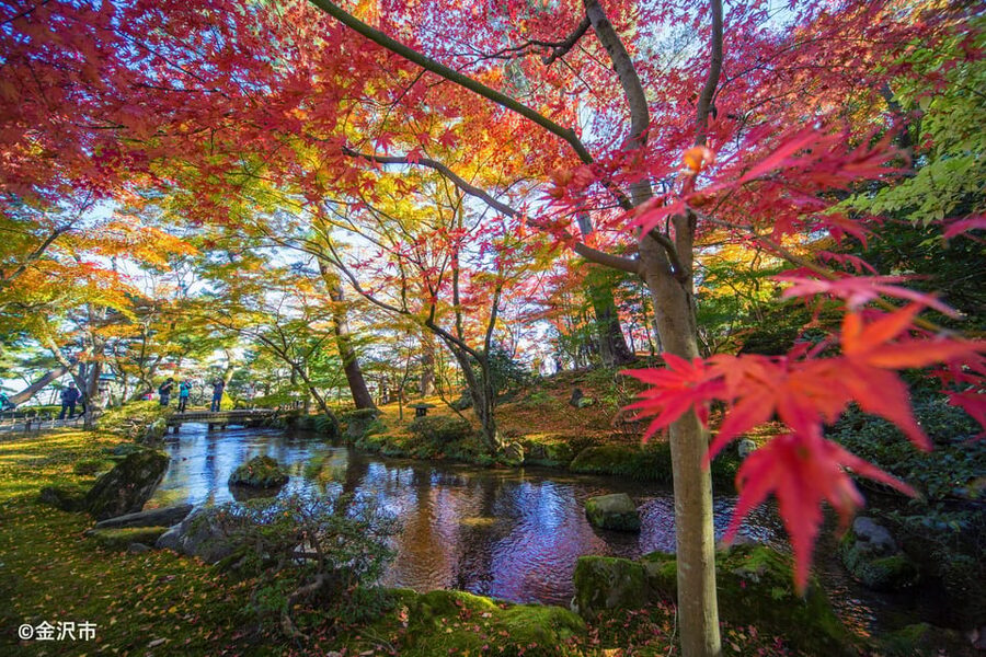 Kanazawa: World Heritage Shirakawa-go & Two Local Experience - The guides make the difference