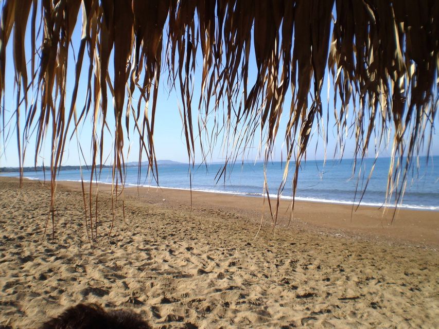 Katakolo: Ancient Olympia and Kourouta Beach Guided Tour - Key points before you book