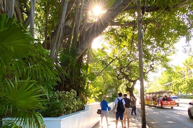 Key West Historic Bahama Village & Hemingway Heritage - A useful introduction to Key West beyond Duval Street