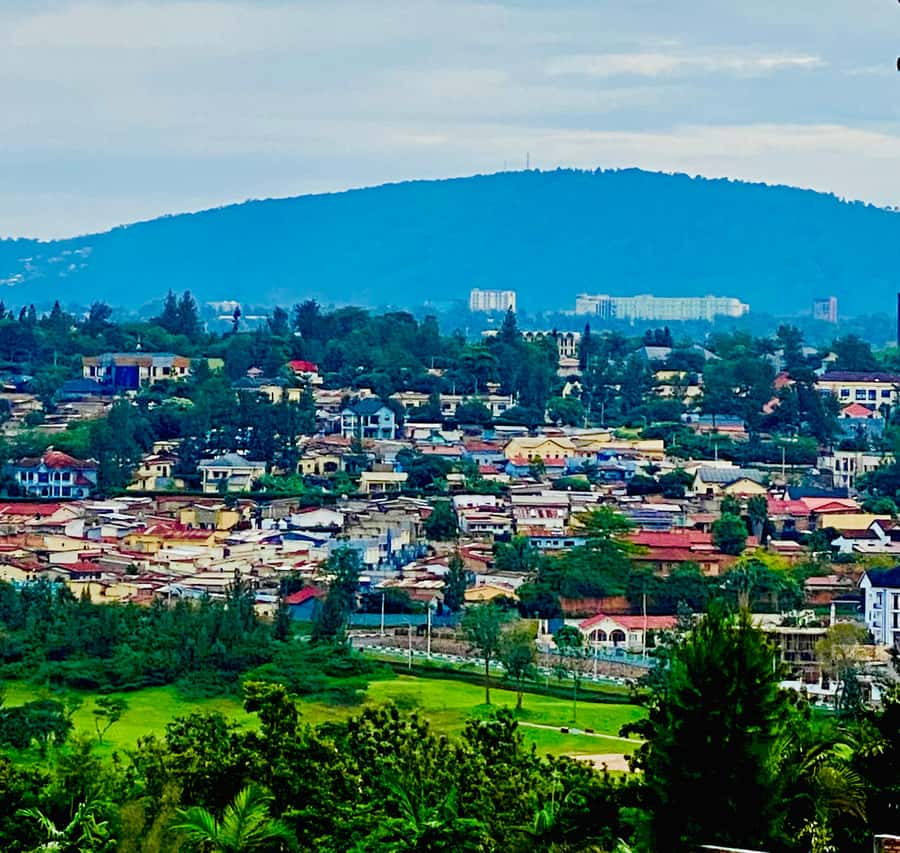 Kigali City Tour: History, Art and Local Highlights. - Mount Kigali Forest and the city from above