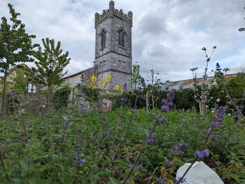 Kilkenny: Historical Highlights Walking Tour - What the guide adds to the experience