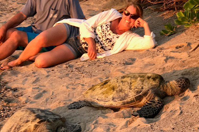 Kona Shore Excursion: Sea Turtles, Historic Kona & Coffee - What $149 buys you in Kona