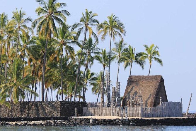 Kona Tour: Bee Farm, Kona Coffee, and National Historical Parks - Big Island Bees, with honey straight from the source