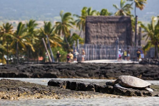 Kona Tour: Bee Farm, Kona Coffee, and National Historical Parks - The Kona coffee belt and Bay View Farm