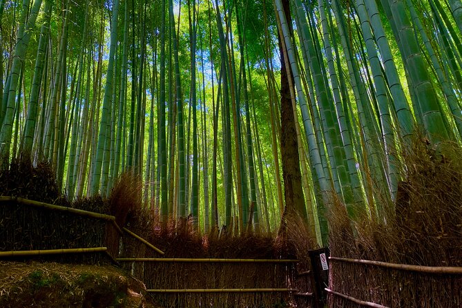 Kyoto Early Bird English Tour: Fushimi-Inari and Arashiyama - Why an early Kyoto start changes the experience