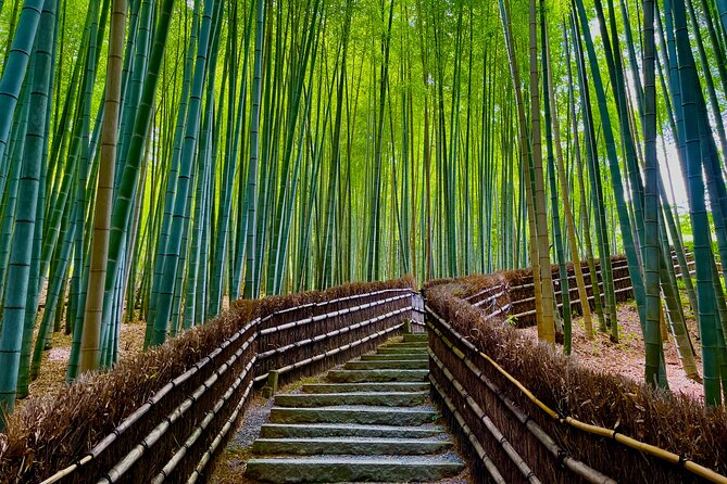 Kyoto Early Bird English Tour: Fushimi-Inari and Arashiyama - Walking through Arashiyama Bamboo Grove