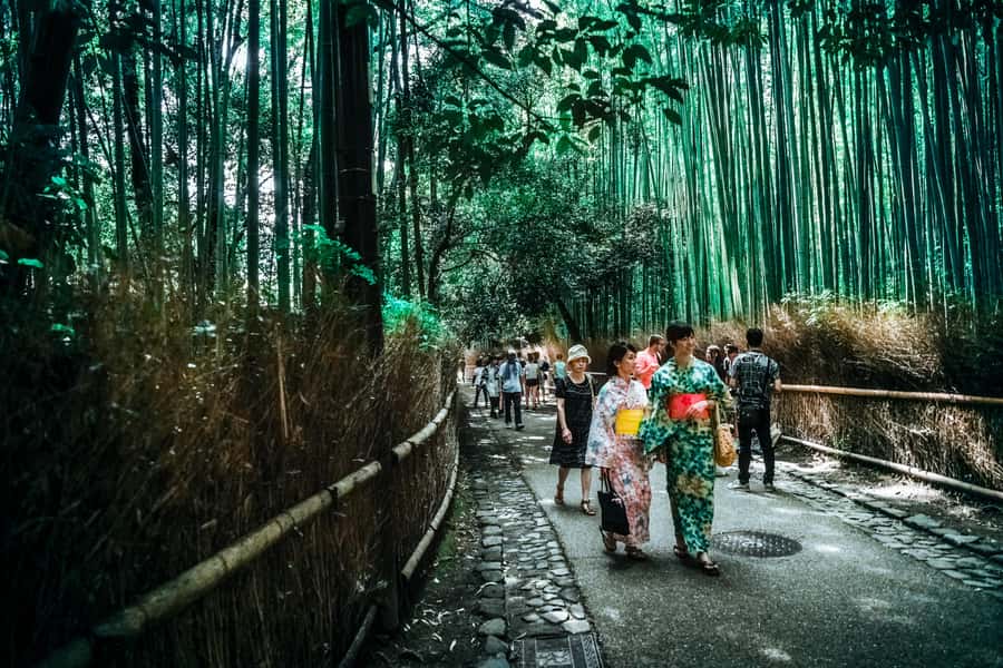 Kyoto Early Bird English Tour: Fushimi-Inari and Arashiyama - Who should book this morning tour?