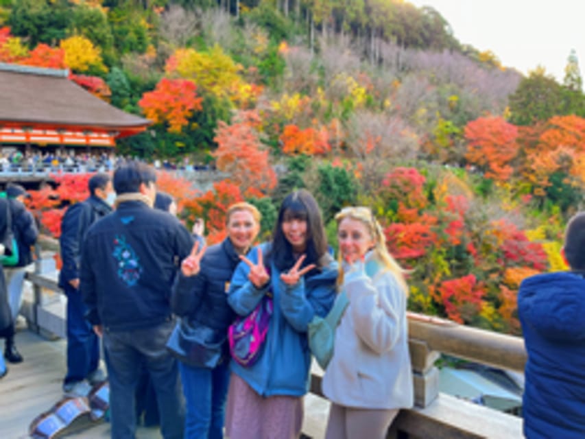 Kyoto: Fushimi Inari, Kinkakuji, Bamboo Grove 1 Day Bus Tour - Tenryu-ji and its changing garden