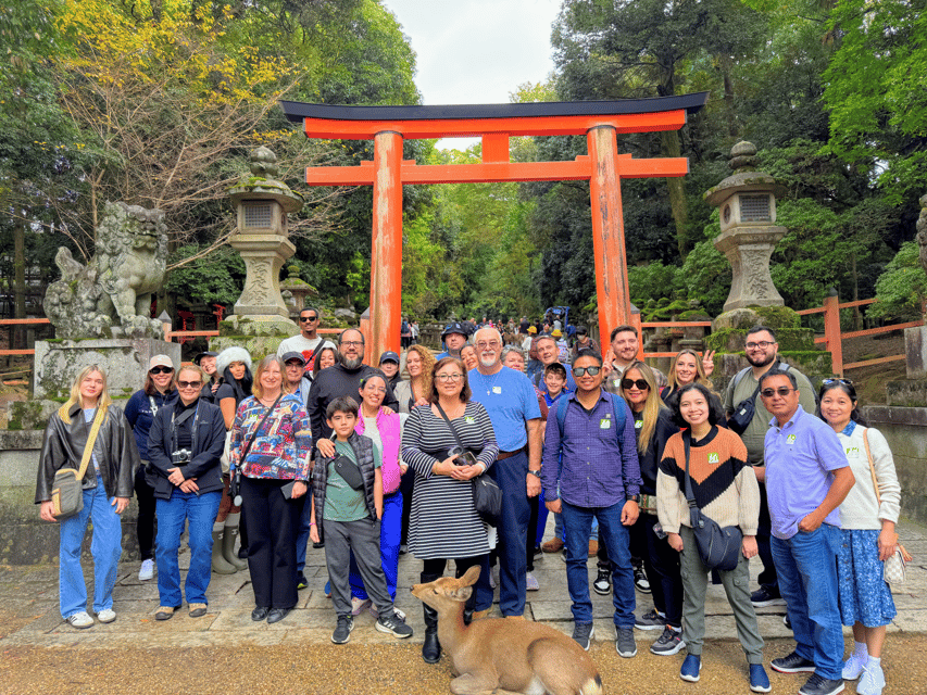 Kyoto: Nara & Traditional Matcha Experience Bus Tour - Why this Nara and Uji combination works
