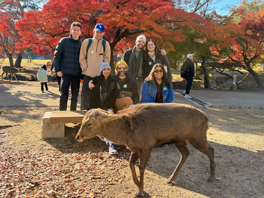 Kyoto: Nara & Traditional Matcha Experience Bus Tour - Byodoin Temple and the Phoenix Hall