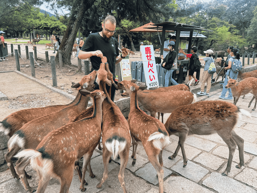 Kyoto: Nara & Traditional Matcha Experience Bus Tour - Making matcha in Uji