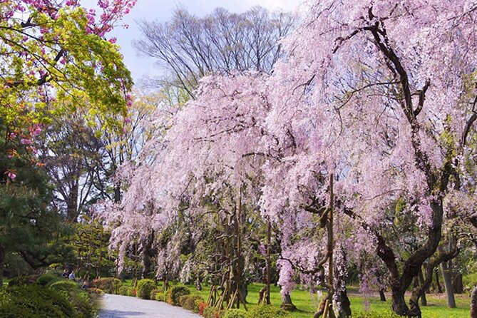 Kyoto: Nijo Castle World Heritage Guided Tour with Admission - Gardens, moats, and koi beyond the palace