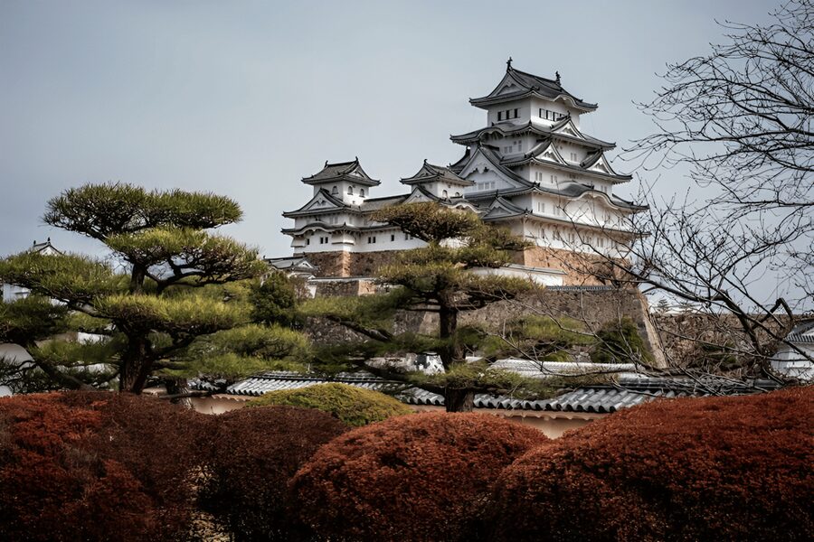 Kyoto/Osaka: Kobe & Himeji Journey Through Culture & History - How to handle accessibility and family needs