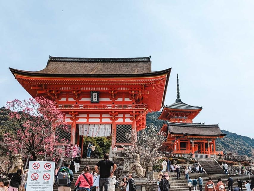 Kyoto/Osaka: Kyoto and Nara Sites & History Day Trip - Key points at a glance