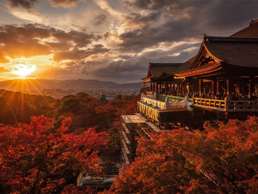 Kyoto/Osaka: Kyoto and Nara Sites & History Day Trip - The best part: private transport and a flexible guide