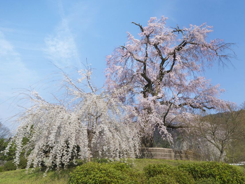 Kyoto: Private 2.5 Hour Historical Walking Tour - Who should choose this Kyoto walk?