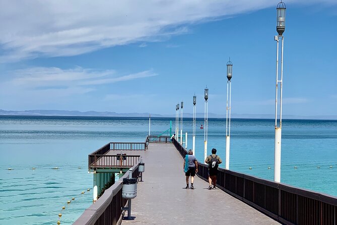 La Paz Tour, Historical City, Beach, Colonial and Beautiful scenery on the way! - A 7:30 a.m. start from Cabo San Lucas