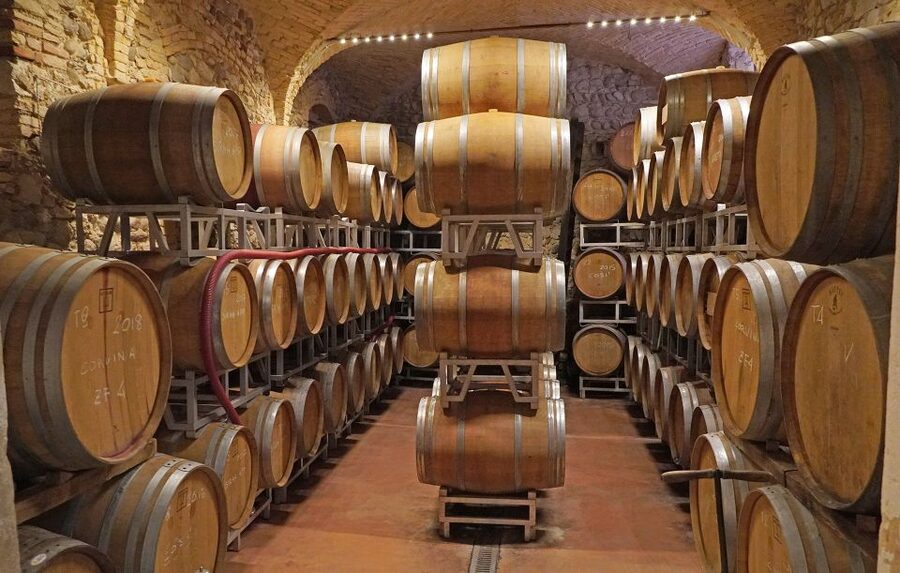 Lazise: Historical Center Wine Tasting Tour - Who will enjoy this wine tasting most?