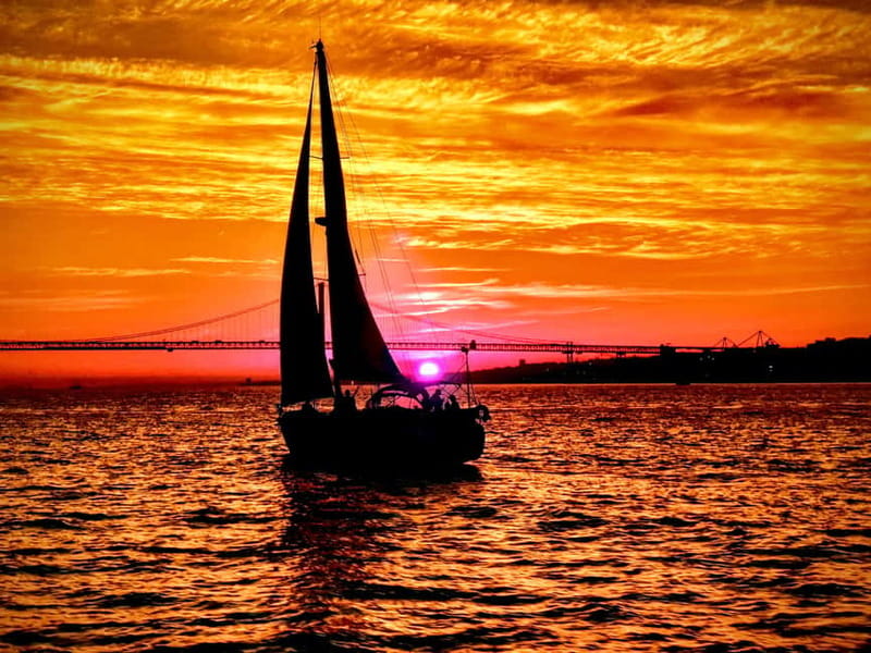 Lisbon: Daytime or Sunset Boat Cruise with History and Wine - MAAT, Cordoaria Nacional, and the changing riverfront