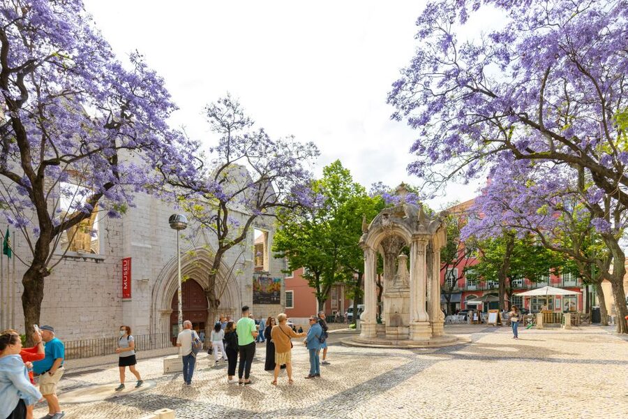 Lisbon: History, Stories and Lifestyle Walking Tour - Alfama delivers the most atmospheric walking