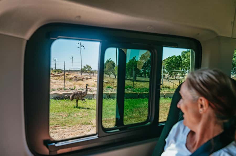 Longreach History and Town Tour - Longreach history, people, and daily life