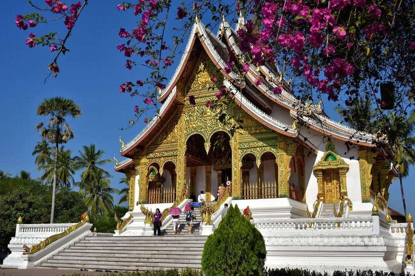 Luang Prabang: UNESCO World Heritage City Highlights Tour - Starting before sunrise: alms giving and the morning market