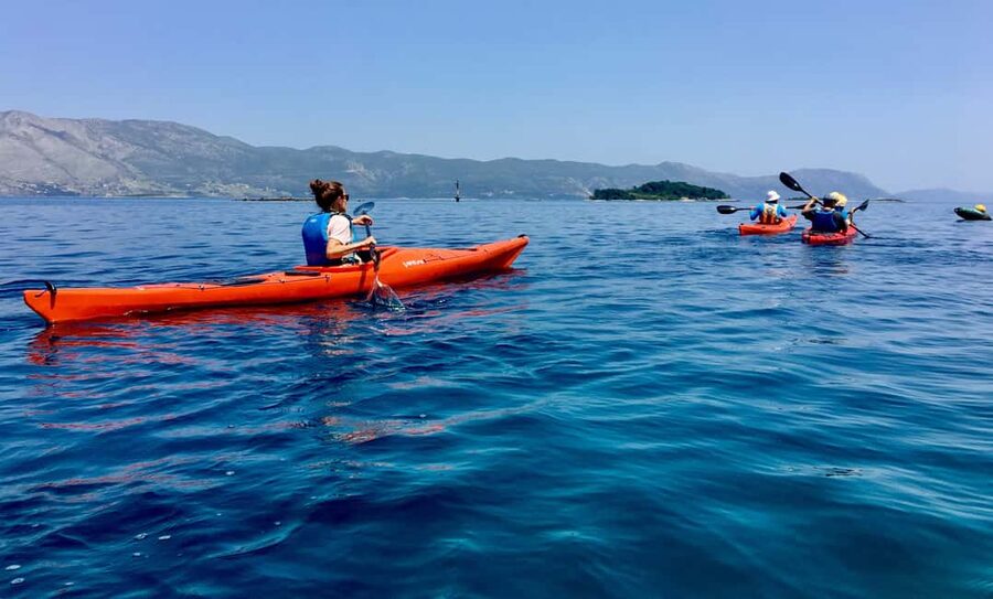 Lumbarda: Half-Day Kayaking and History with Wine delight - Who should book this experience?