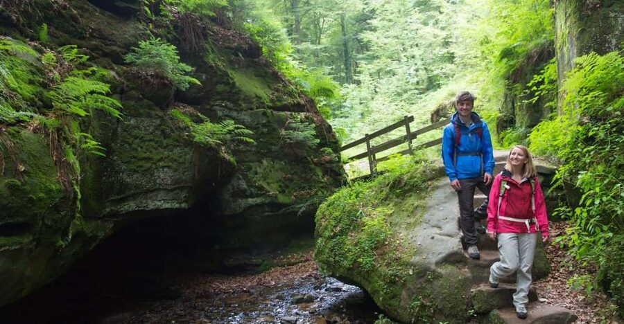 Luxembourg: Nature, History and Castles Full-Day Tour - Key points to know before booking