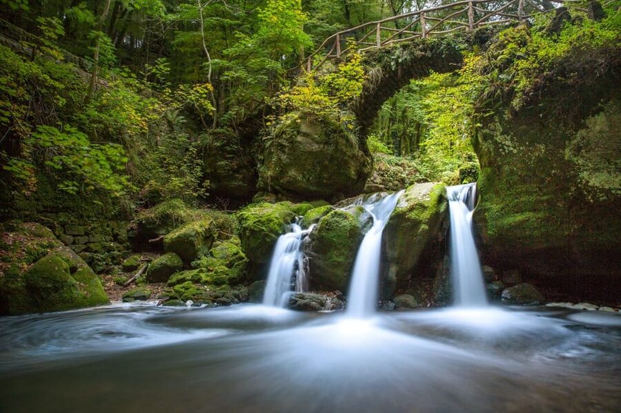 Luxembourg: Nature, History and Castles Full-Day Tour - What this eight-hour Luxembourg tour does well