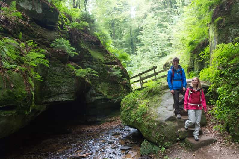 Luxembourg: Nature, History and Castles Full-Day Tour - Mullerthal and Schiessentümpel: a taste of Little Switzerland
