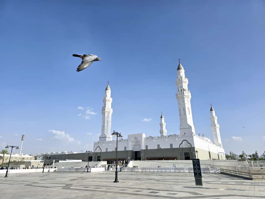 Madinah Culture & History Tour – Led by Local Guide - Uhud and Mount of the Archers bring history close