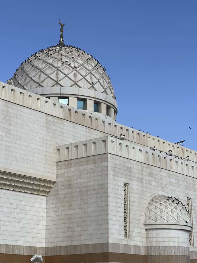 Madinah Culture & History Tour – Led by Local Guide - The guides are the real strength