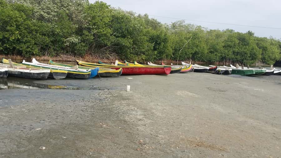 Mangroves, cultural fishing, black heritage town and lunch - An Afro-Caribbean lunch by the water