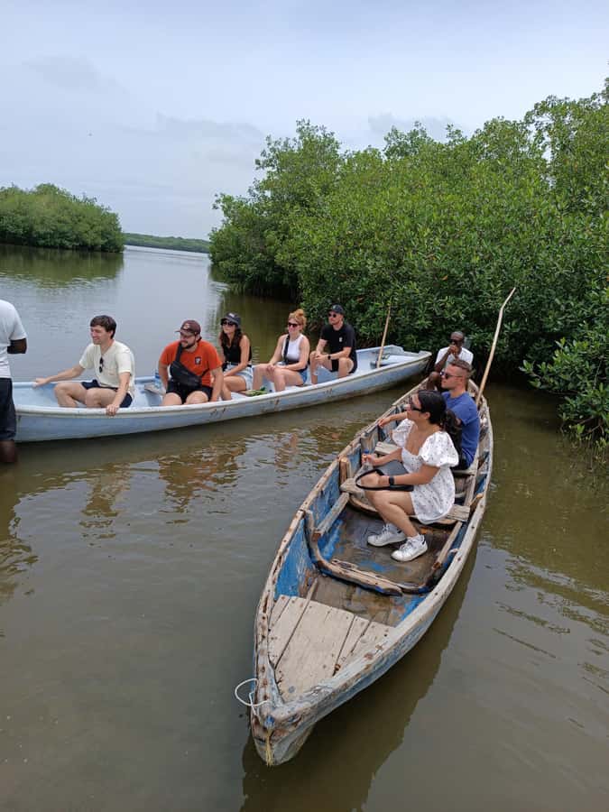 Mangroves, cultural fishing, black heritage town and lunch - What to bring and who will enjoy it