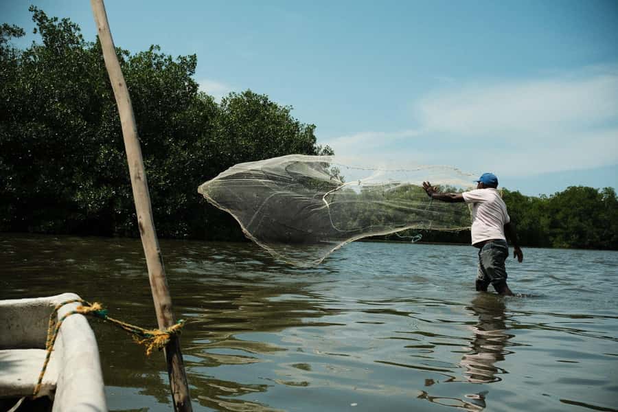 Mangroves, cultural fishing, black heritage town and lunch - Meeting in Crespo and reaching the village
